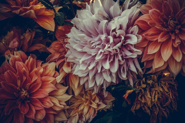 Choisir un interrupteur Legrand Dooxie : design moderne et installation simple