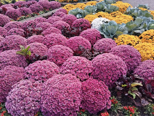 Économisez Gros sur Votre Déménagement : Conseils Malins et Offres Imbattables